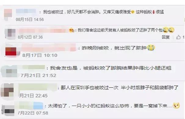 只因在草丛中被你咬一口，再也没能忘掉那感受