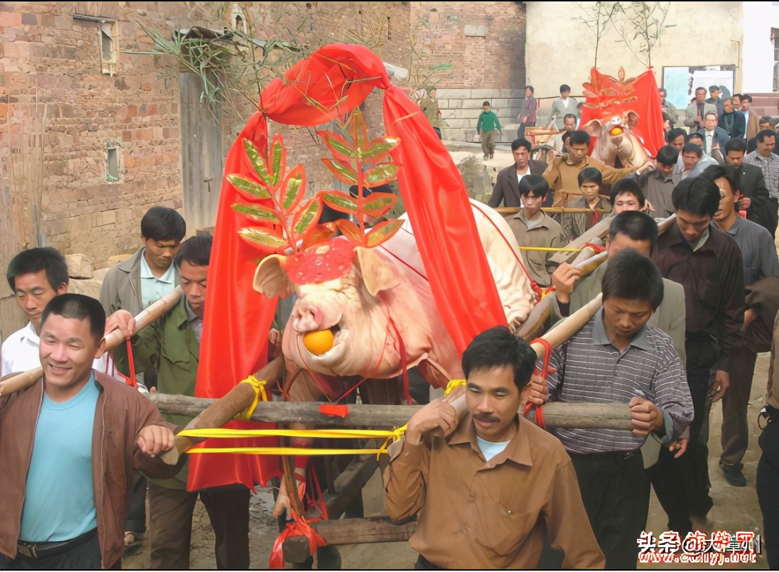 长泰赛大猪,长泰赛龙舟