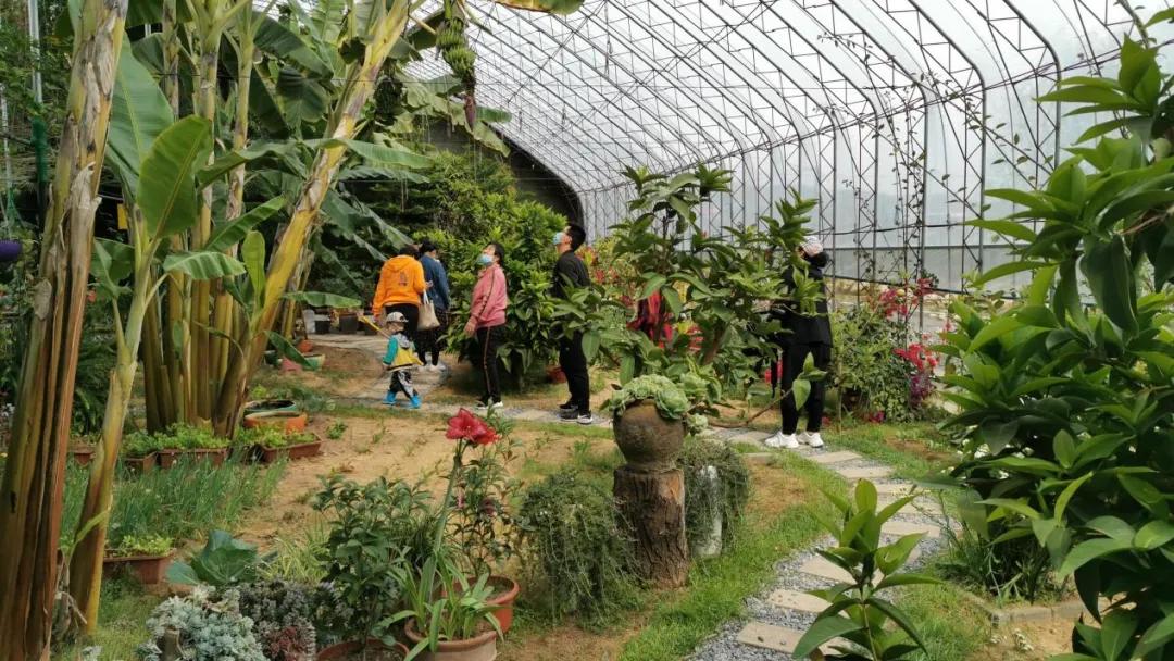 大连60条精品旅游线路,大连旅游一日游线路推荐