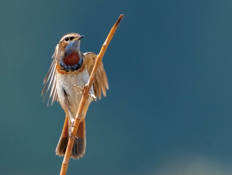 情人岛拍摄地点,情人岛航拍视频
