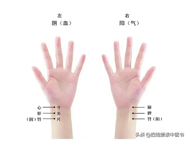 中医每日小知识讲解,中医每日学一点