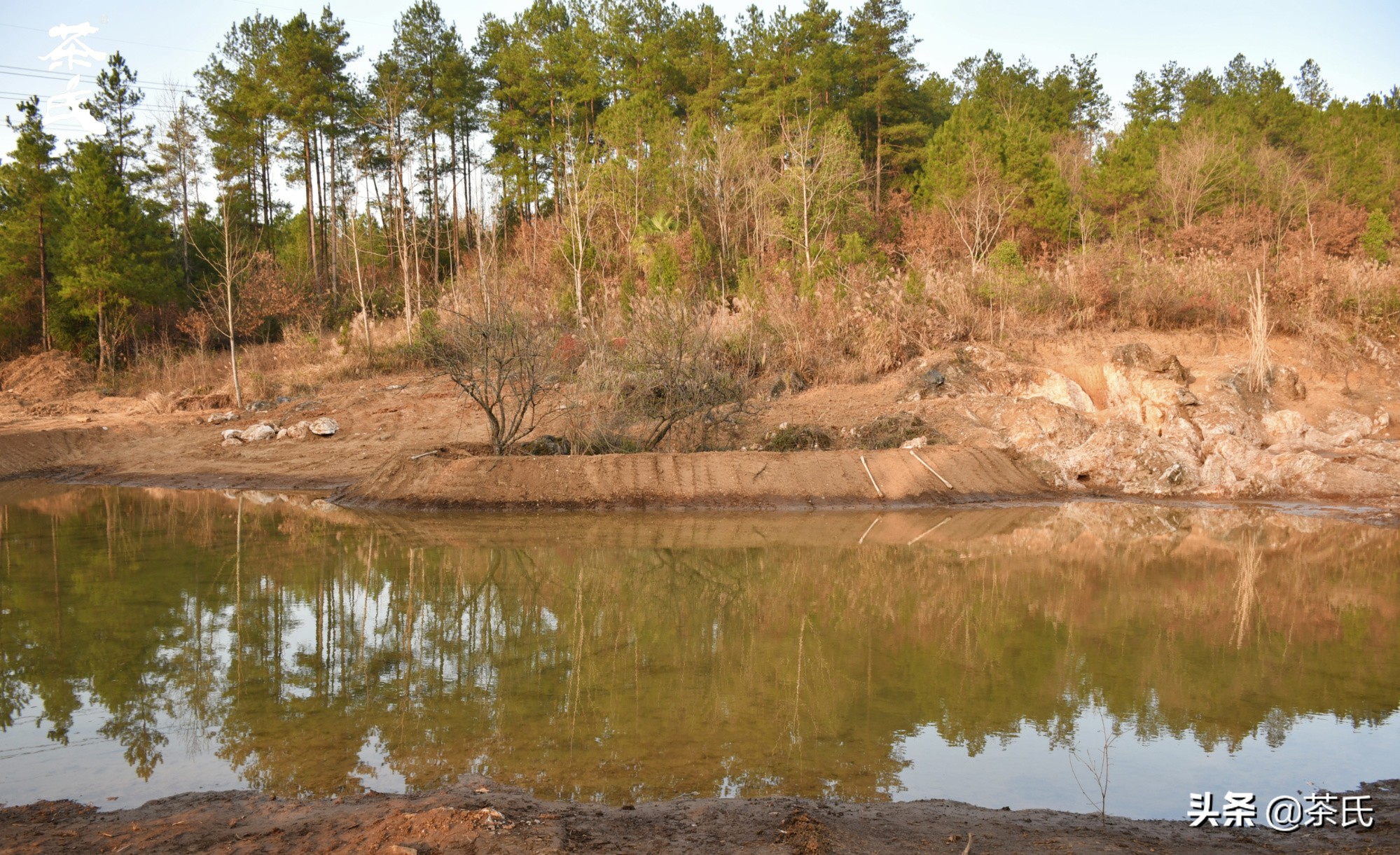 山居生活借山而居,徐州观心山居