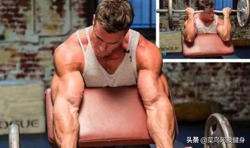 肱二头肌明显是停止长高吗,肱二头肌增长速度缓慢