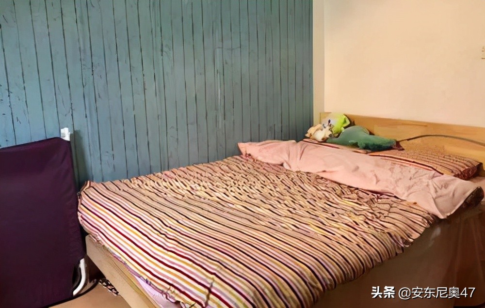 新床上有异味怎么去除,房间新床味道怎么去除