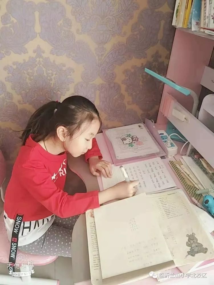 并肩前行，共筑梦想——兰小英语在行动