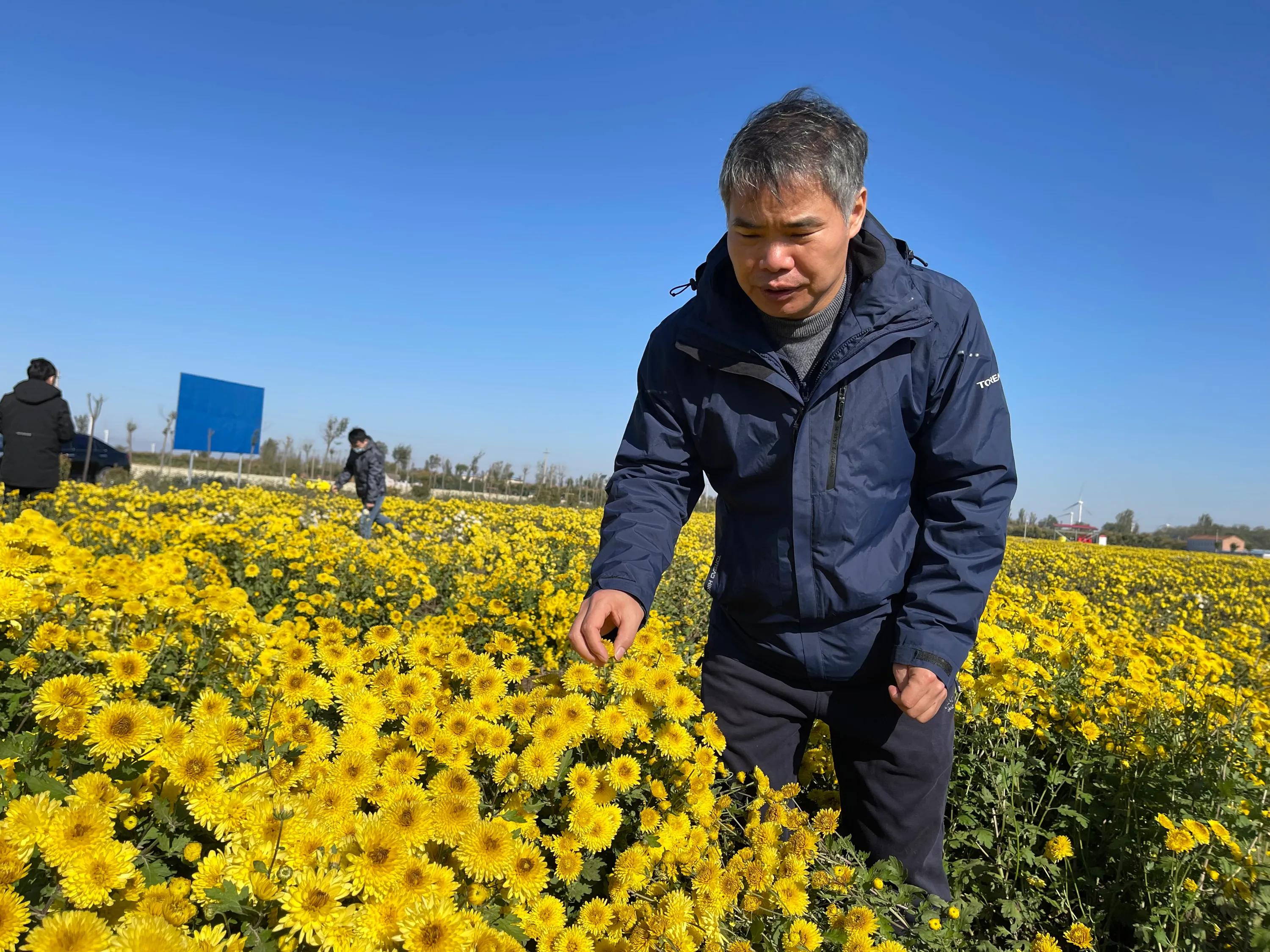 农业新品种新技术推广的意义,新型农业防病虫害技术