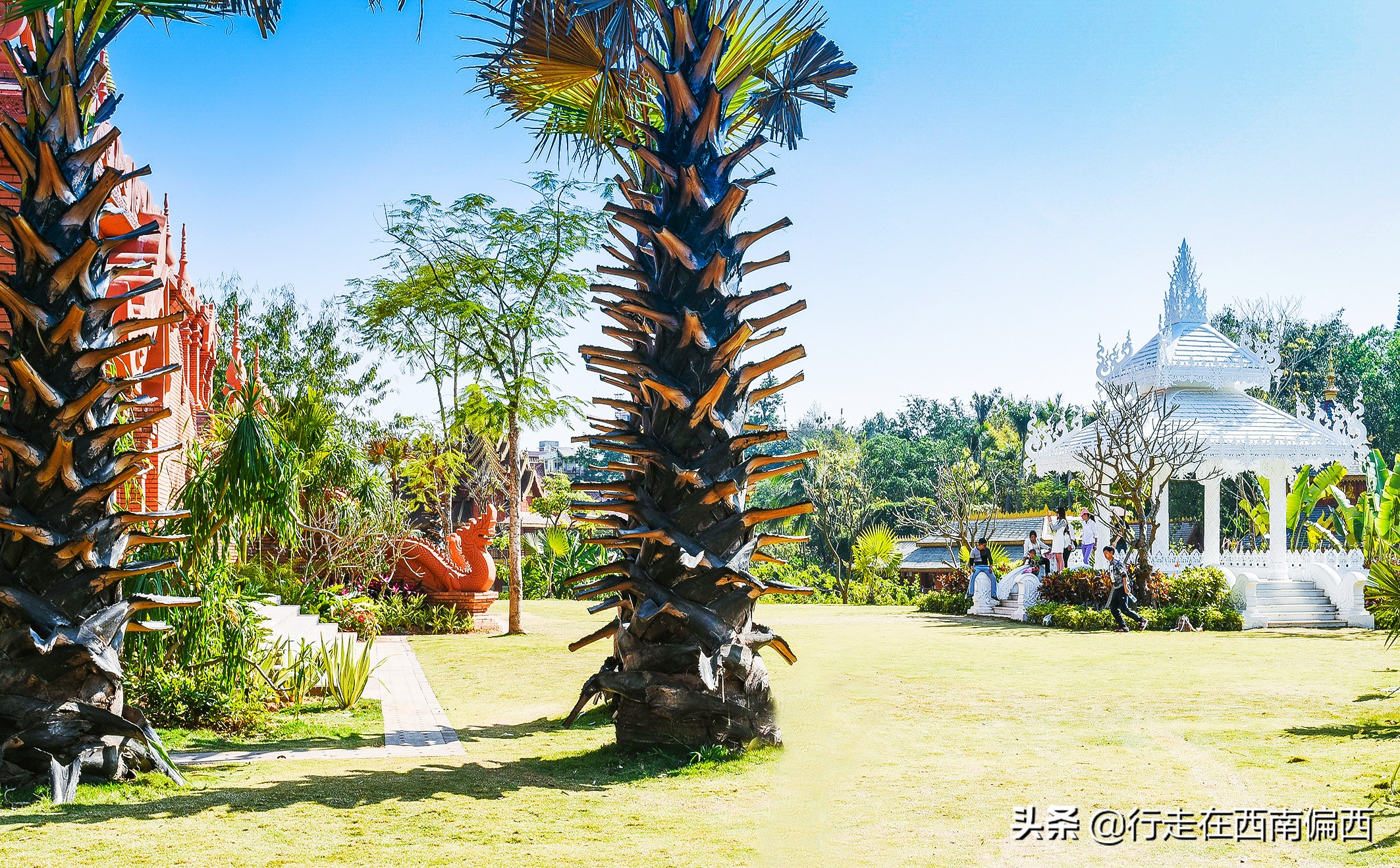 西双版纳五树六花185平米,西双版纳花的世界