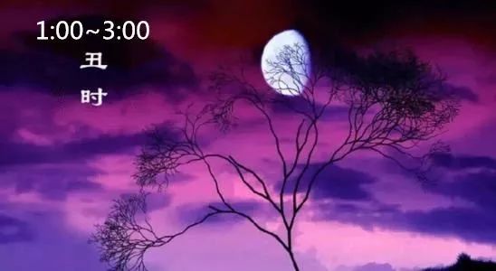 十二时辰养生法的重要意义,十二时辰与十二经络的养生之道