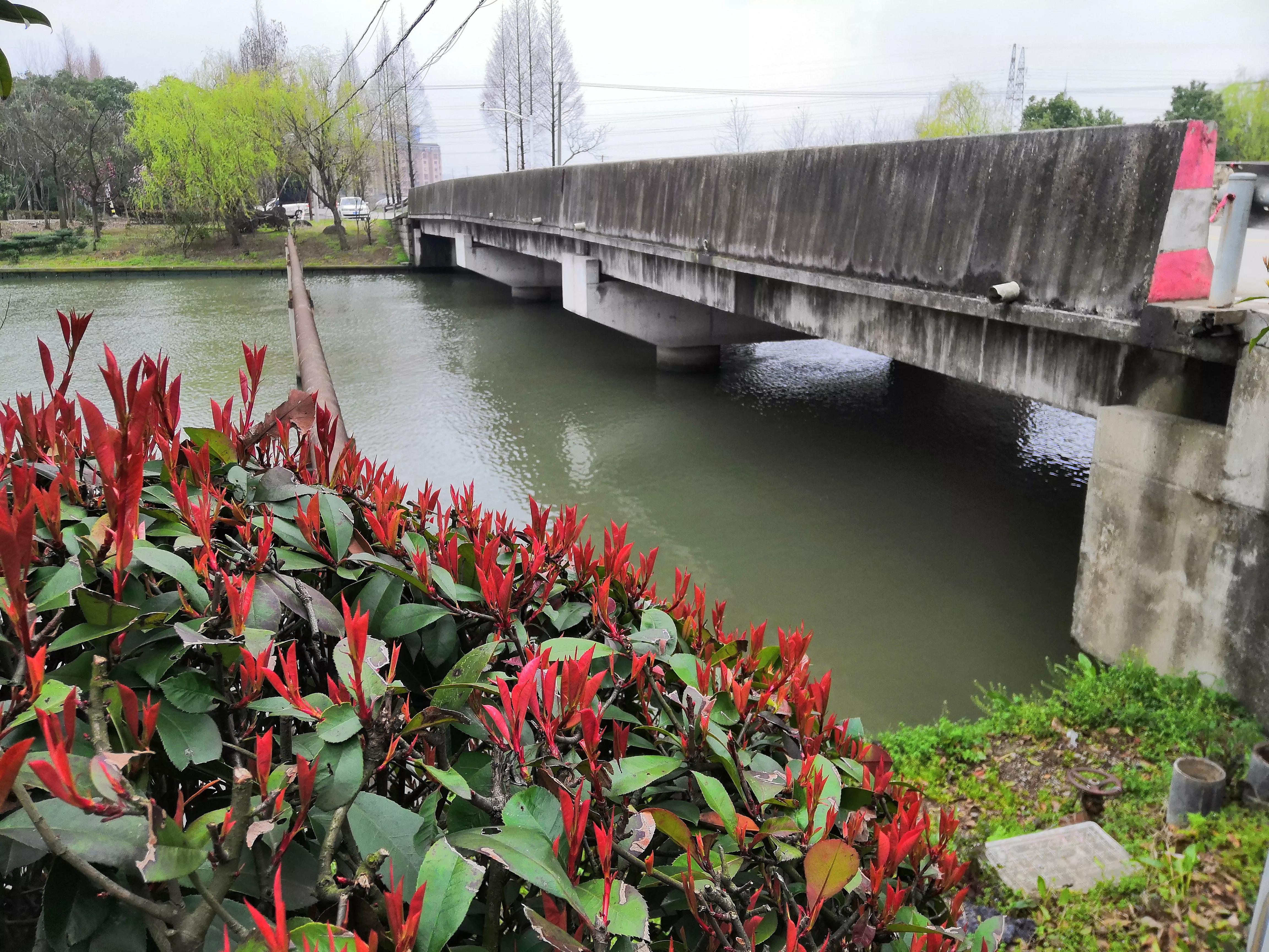 野钓注意事项及时收竿,野钓技巧什么时候起竿