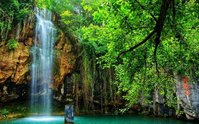 淄博市文化旅游推介会,淄博市文化和旅游局