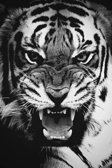 设计图片转插画网站,免费设计师插画