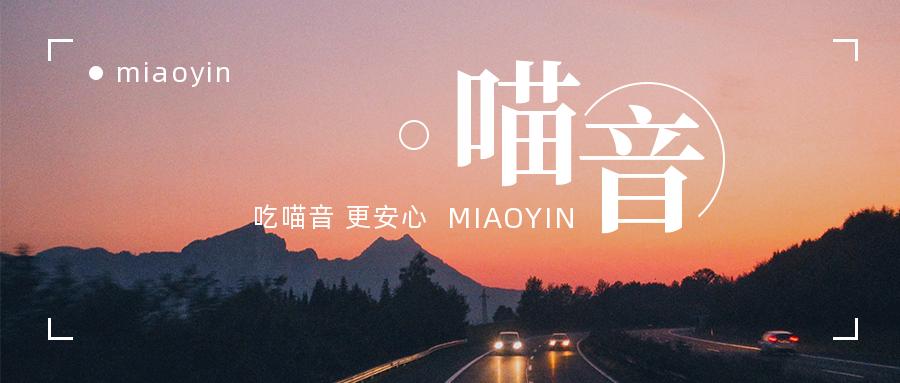 猫咪怕光怕水是怎么回事,你家的猫咪到底有多怕水