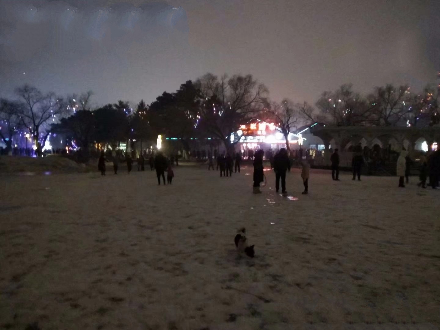 说说吉林省长春市的南湖公园……