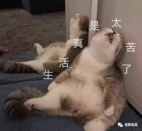 男子两年吃6万增高药，1厘米没长！哭诉：我连辣椒香菜都戒了…！