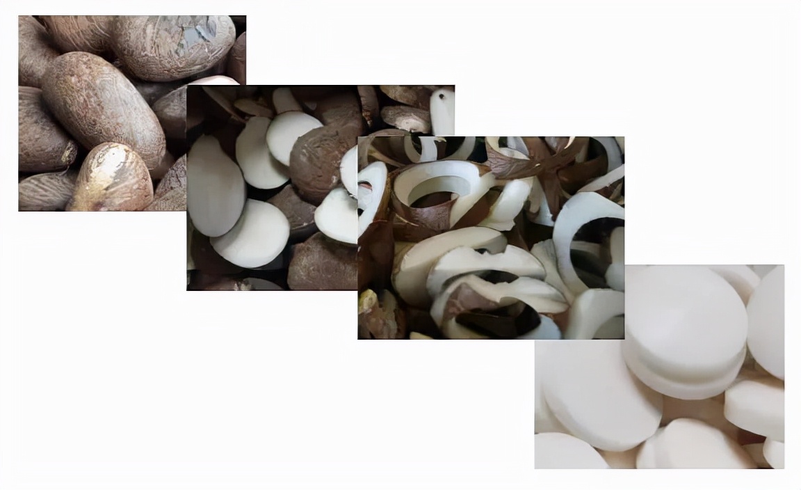 复古纽扣必备工艺有哪些,马氏贝纽扣和海氏贝纽扣的区别