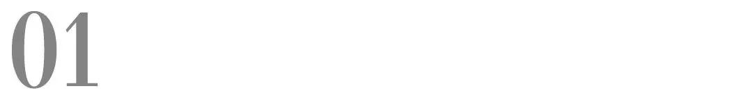 派膳师犬粮,派膳师犬粮10kg