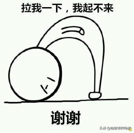 狗狗出现呕吐是什么原因造成的呢,狗狗呕吐的这4个原因