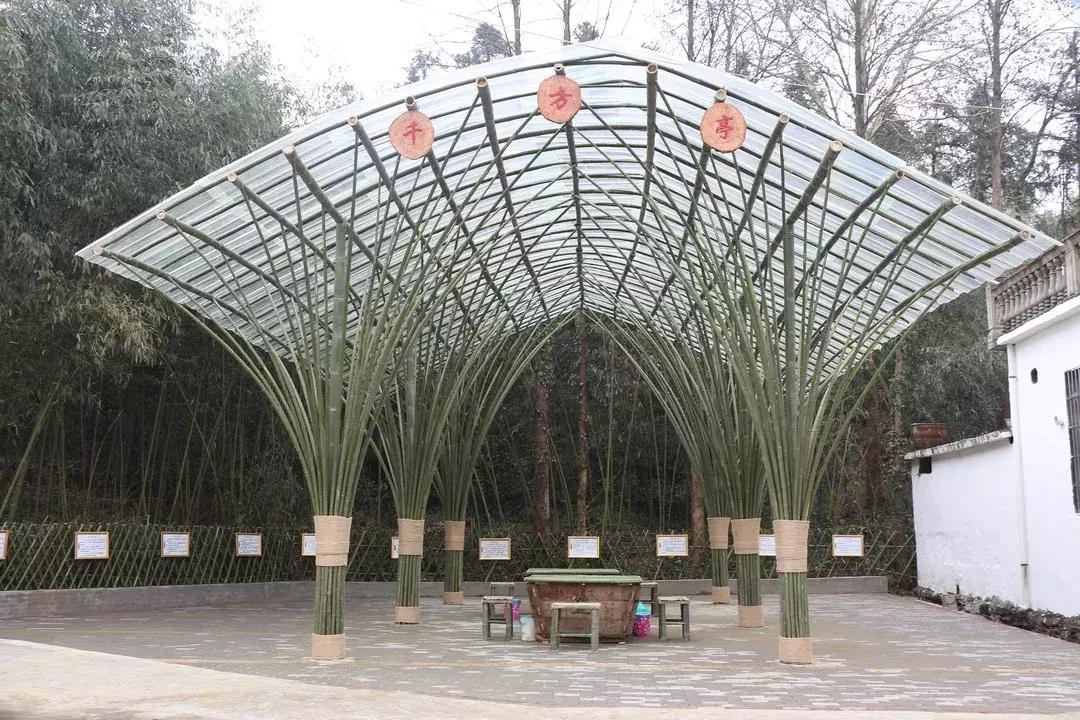 返乡人眼中的家乡变化,春节返乡看家乡的心情