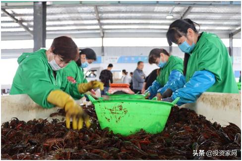 你以为都是旱地的河南，却藏着一座鱼米之乡，小龙虾更是一绝