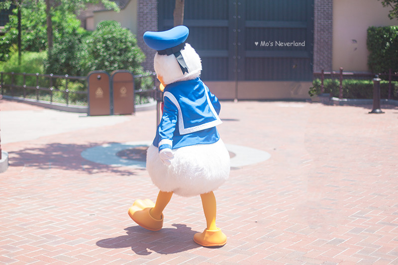 上海迪士尼攻略超详细最新 (你不知道的迪士尼隐藏玩法)