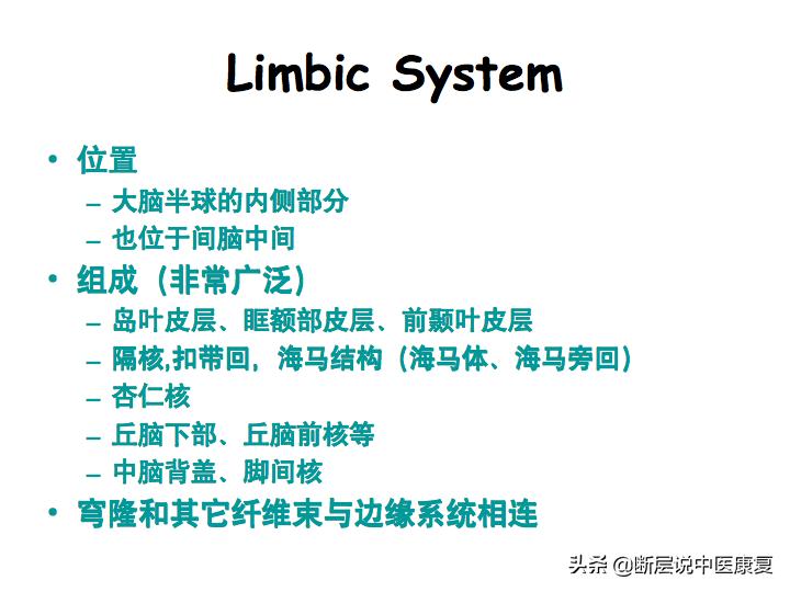 中枢神经系统断层解剖讲解,中枢神经3d解剖动画