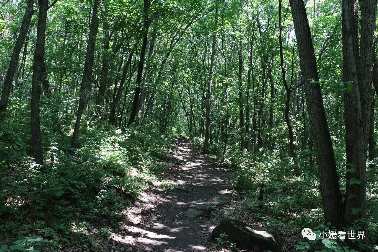 哈尔滨周边将军山,哈尔滨将军山森林公园