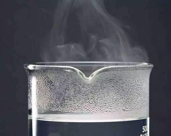 便携烧水杯摩飞和大宇,烧水杯推荐家用网红