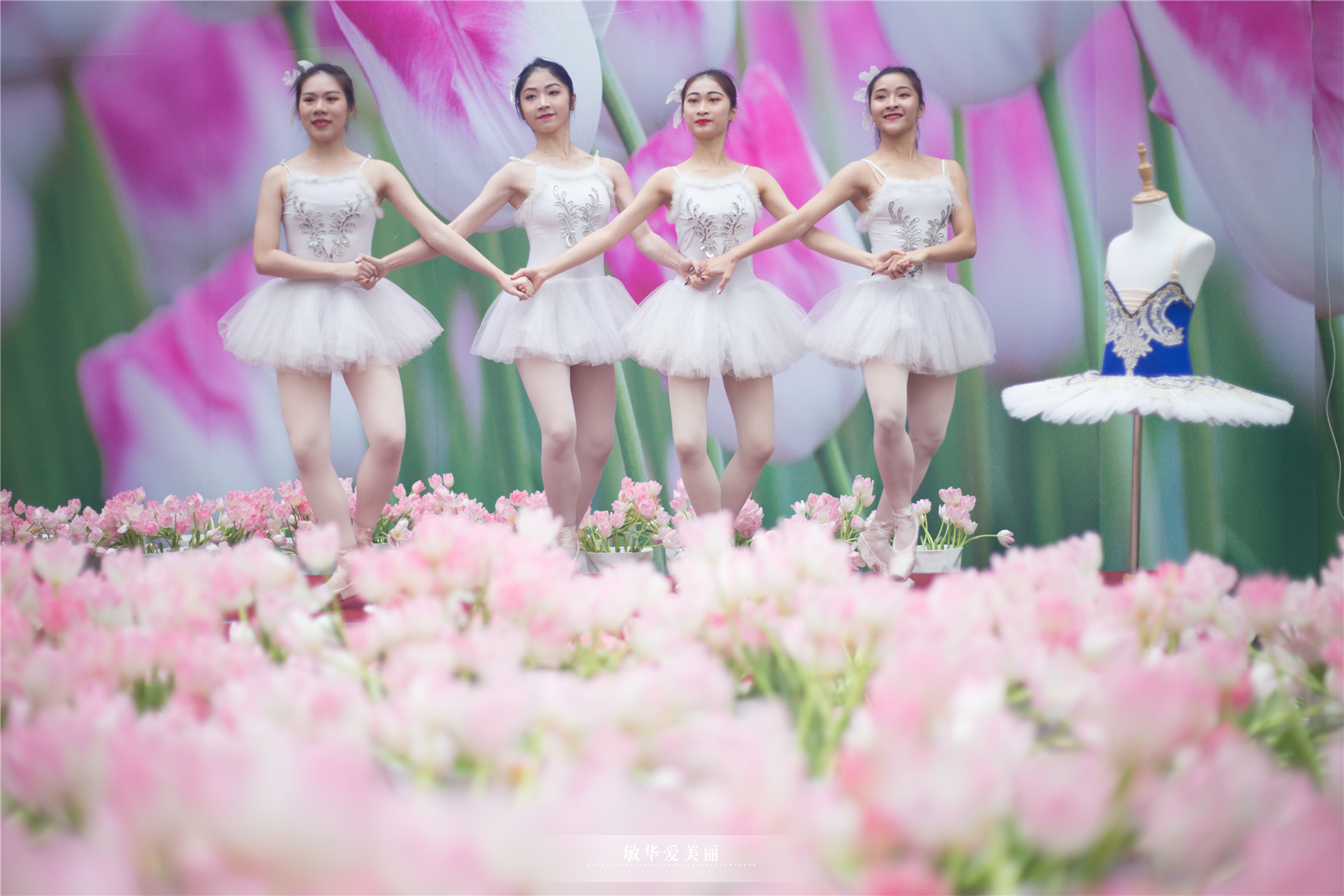 百万葵园攻略地图大全,百万葵园游玩注意事项