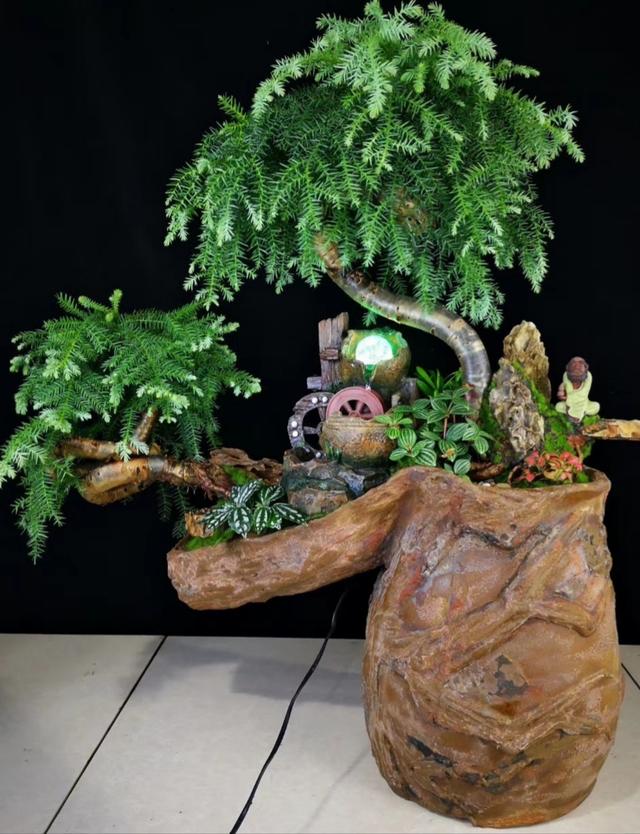 公司开业送什么盆栽植物,新店开业送什么易活盆栽植物