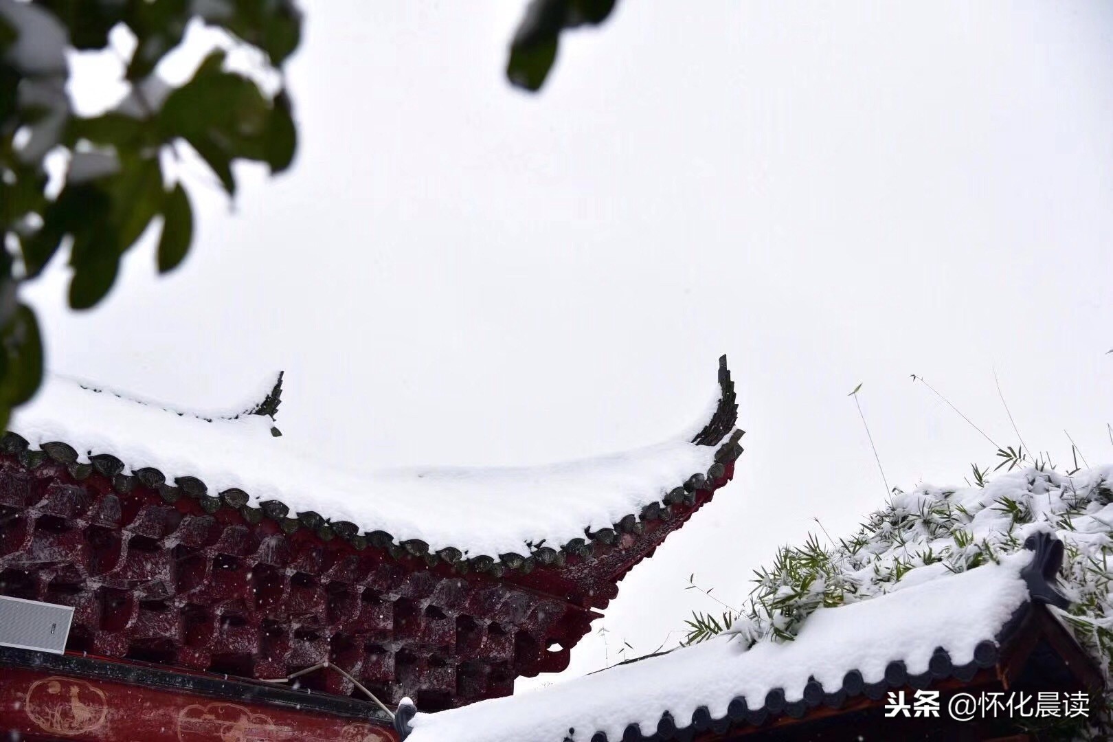 一场雪惊艳了一座城视频,一场雪激发了多少创造力