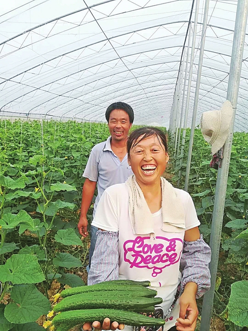 济南今年要建105个乡村振兴样板村,山东乡村特色产业10亿元村名单