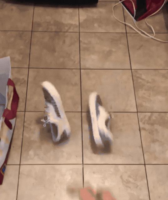 如何鉴定VANS鞋真伪，难道真的要扔一下试试？