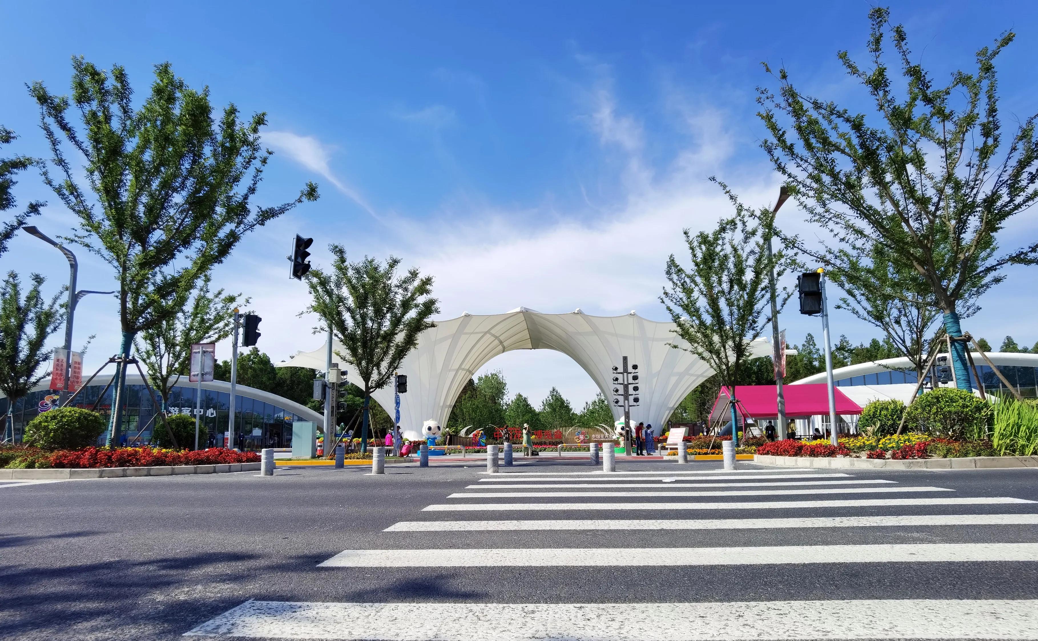 关于崇明花博会,崇明花博会全程花景