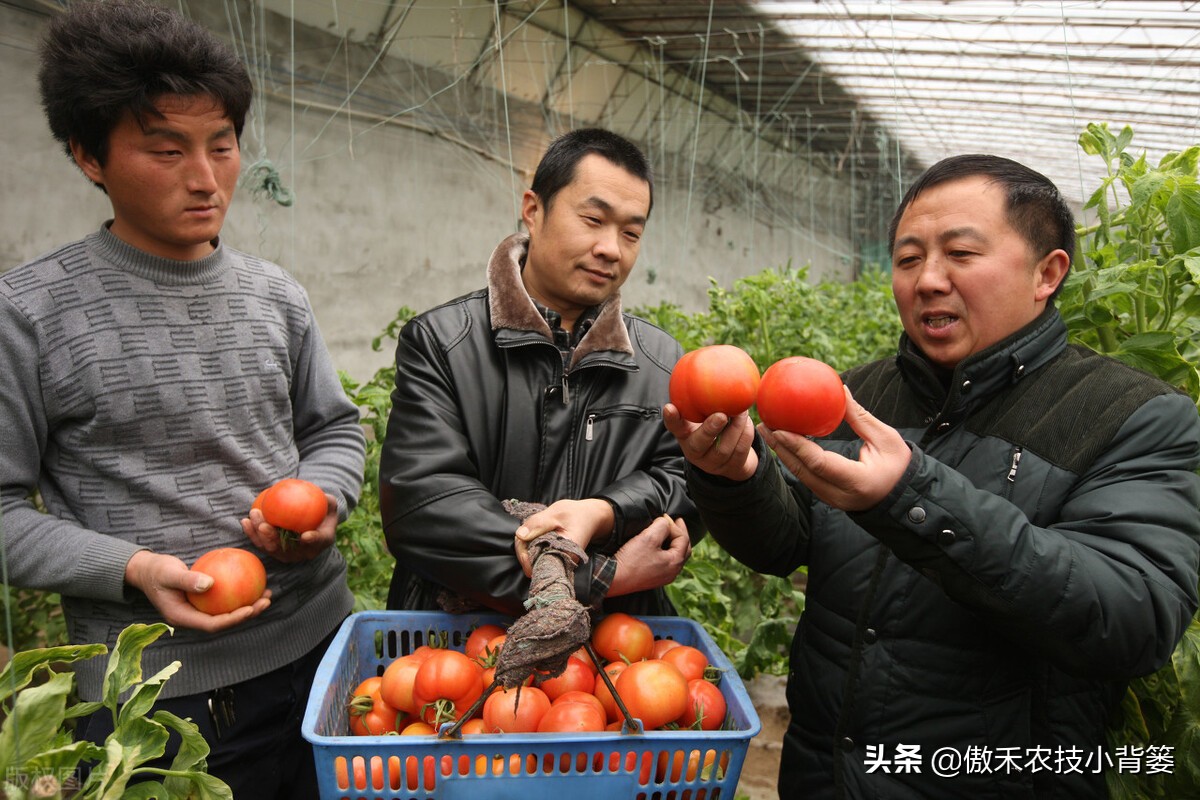 鱼蛋白肥料怎么辨别真假,进口鱼蛋白肥料为什么便宜