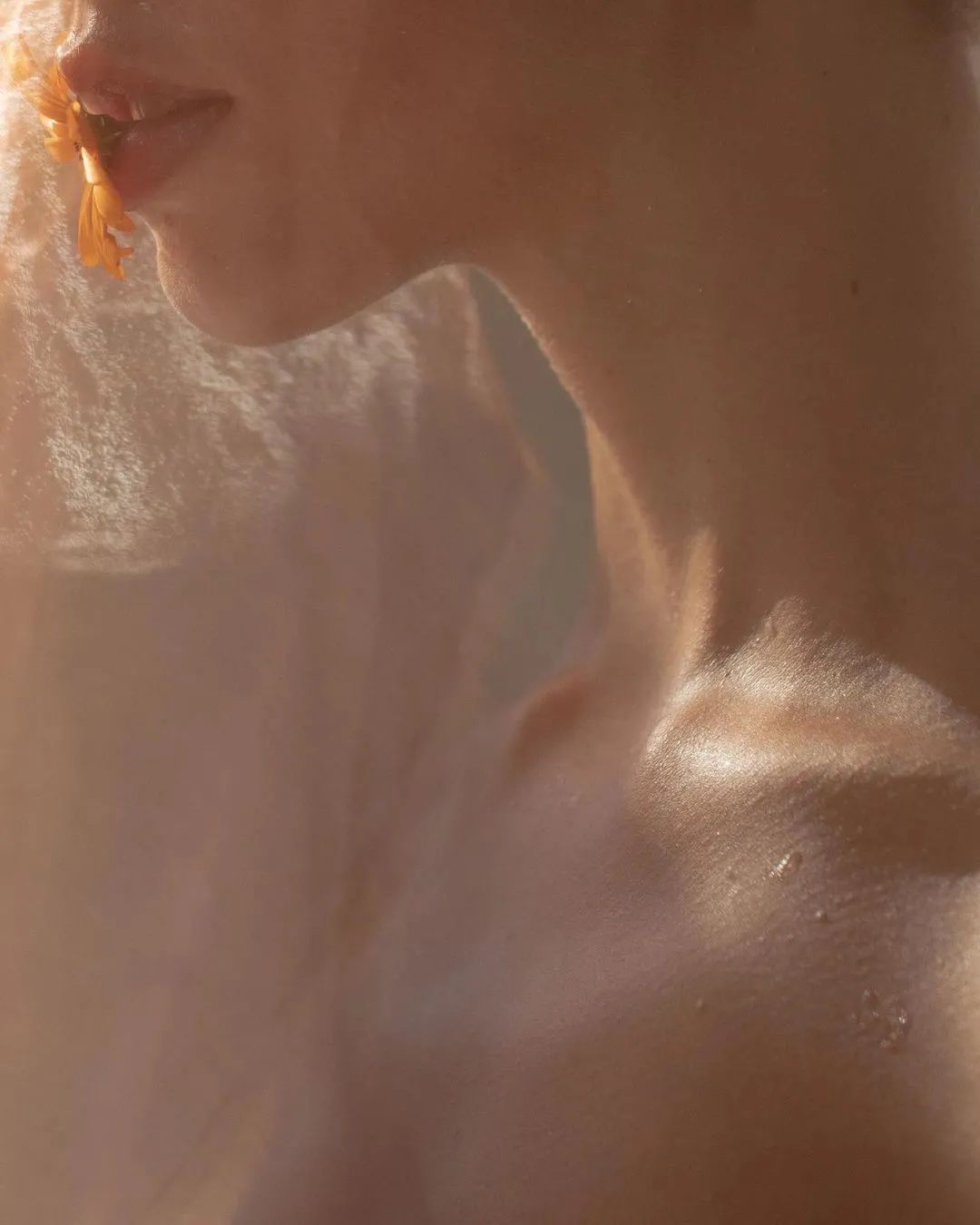 这些情而不色的「局部特写」,也太高级了吧