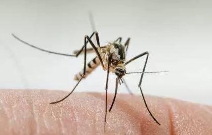 皮肤科外用软膏大全脂溢性皮炎,常见的皮肤科药