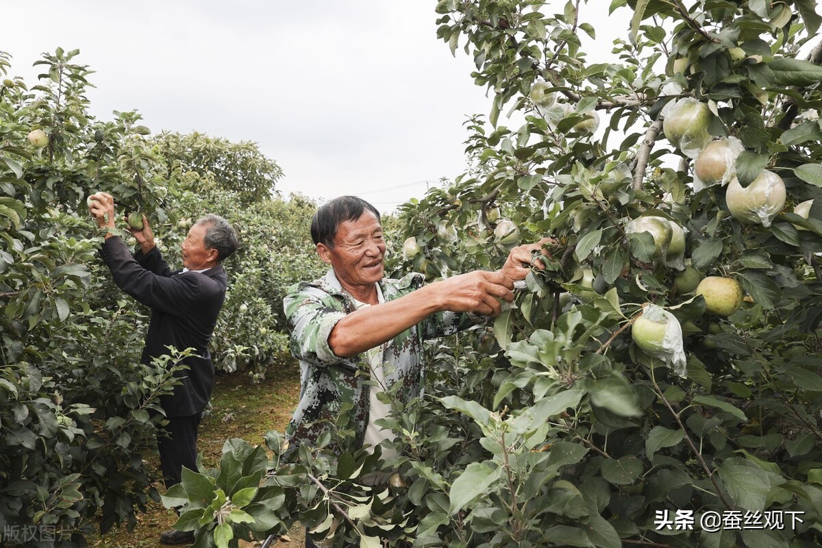 美丽的海港连云港,江苏海港有哪些
