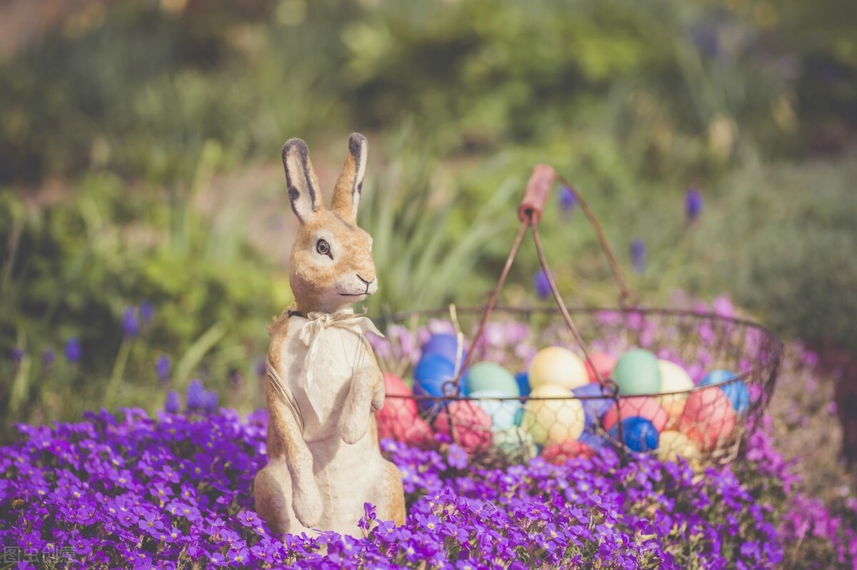预防兔子球虫病的中草药,兔子球虫病的治疗与防治