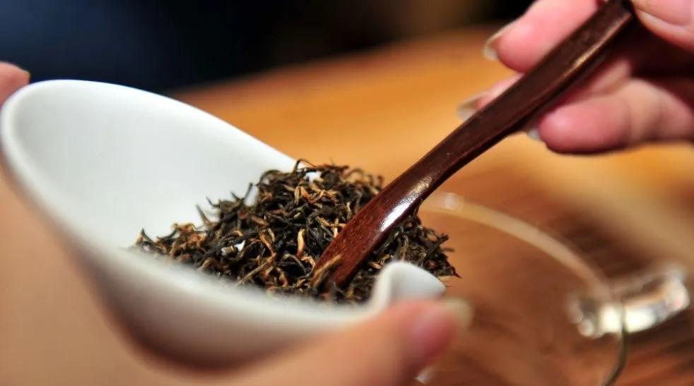 千年藏茶，生命之茶——巨匠台