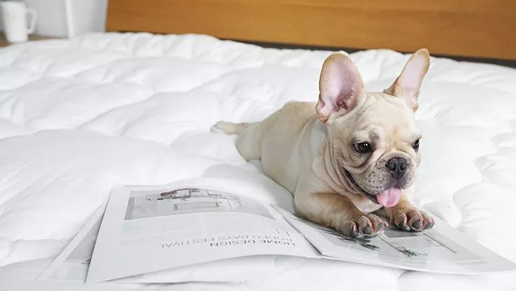 冬季盖蚕丝被保暖还是棉被保暖,羽绒被蚕丝被棉被哪种最暖