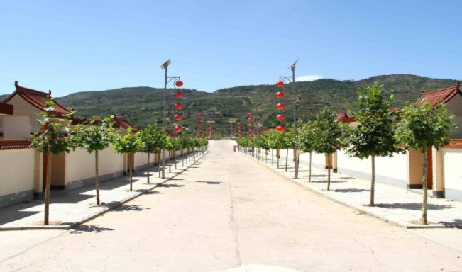 广西农村做什么项目赚钱,农村做什么项目比较有前景