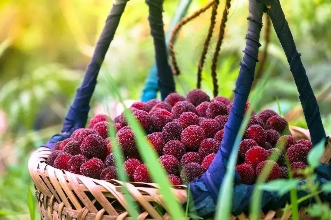 这该死的魅力啊,一个你意料之外的宁波