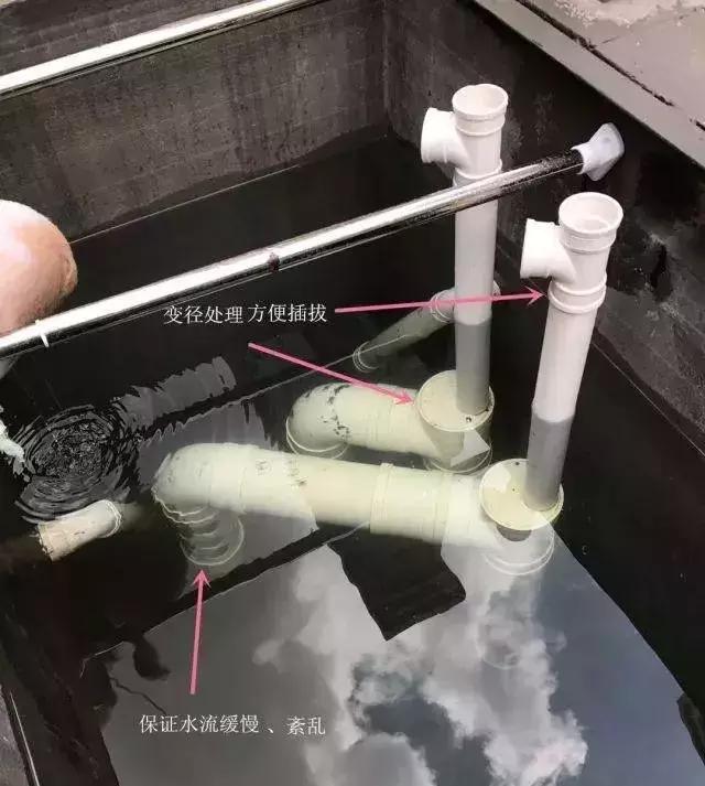 小院锦鲤鱼池建造全过程,自己建造庭院锦鲤鱼池