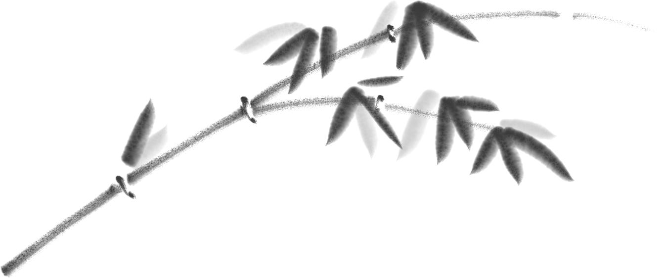 生肖牛视频大全,生肖牛第一期视频