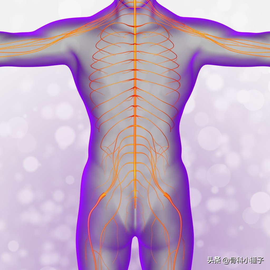 颈脊髓病变,颈椎生理曲度变直碍事吗