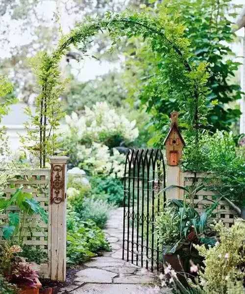 深山老林自建豪华木屋隐居生活,90后小情侣隐居深山建别墅仅花6万