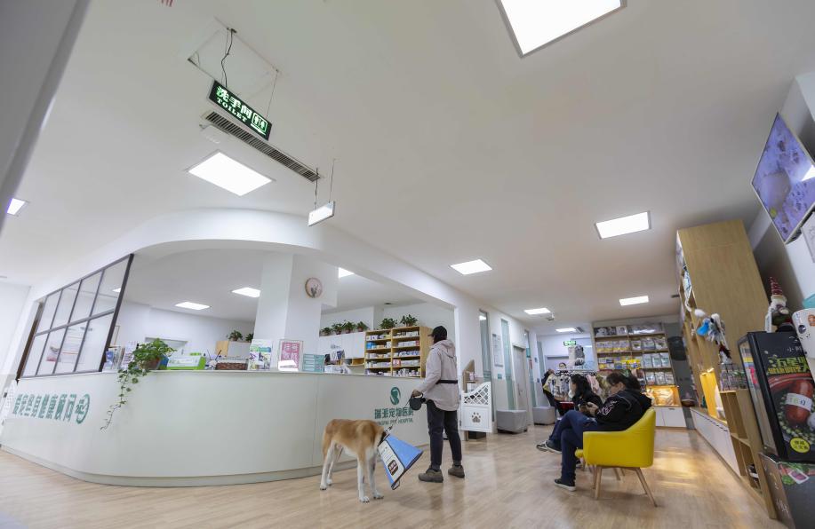 瑞派宠物医院全国分布情况,瑞派宠物医院重复收费