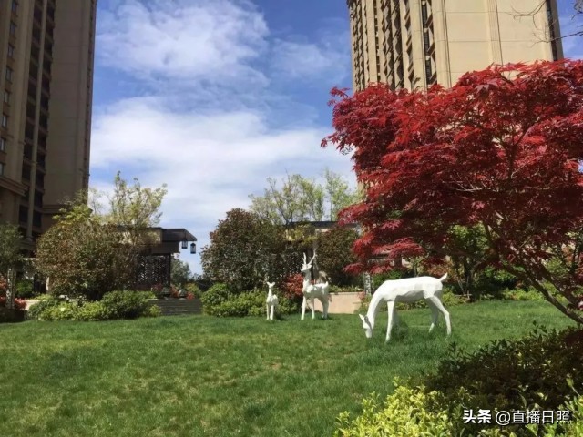 日照索隆,日照文旅