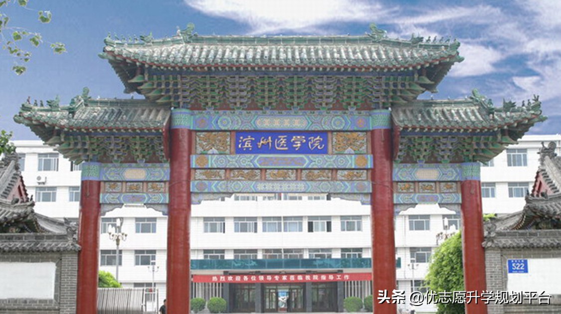 山东第一医科大学热门专业排行榜,山东春考医学专科有哪些专业