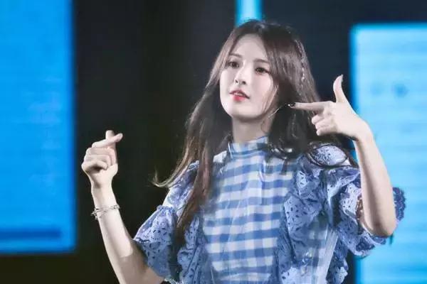 袁姗姗不火的原因,袁姗姗为什么不红